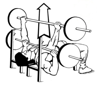 bench press somnium mattress blog