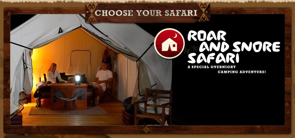 Enjoy the open plains at the San Diego Zoo Safari Park museum sleepover